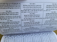 Pandit Devi Dayal Jyotshi Jantari Sikh 2024 Calendar Punjabi Hindu Festivals B57